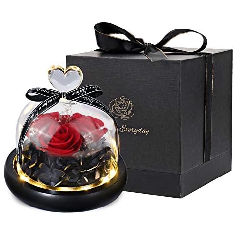 Nocihcass Rosa eterna en cúpula de cristal con luz LED Cover
