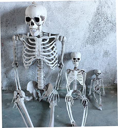 Calavera, Toy Imagen adicional