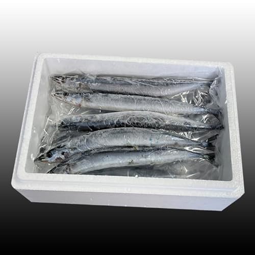 [北海道根室市] 北海道根室市産 生さんま5尾×2P G-76001[配送月(年明け含む)の指定は不可]