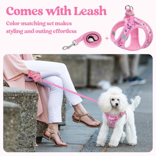 Image of rabbitgoo Dog Harness Medium Sized and Leash Set, Step-in Puppy Pet Vest
