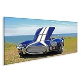 ac cobra 427 v8 ford Todas las imágenes se imprimen con tintas ecológicas de alta calidad a base de agua para ofrecer un fantástico resultado de color con alto contraste. Natural y libre de disolventes. Las imágenes reales son una maravillosa manera de diseñar tus habitaciones. Decora tu salón, dormitorio, habitación de los niños, cocina, pasillo, estudio u oficina y crea tu propio ambiente de bienestar.