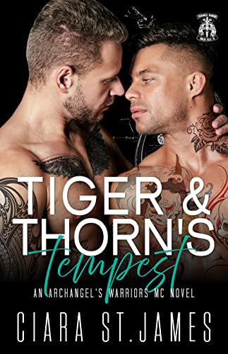 Tiger & Thorn's Tempest (Dublin Falls' Archangel's Warriors MC Book 18)