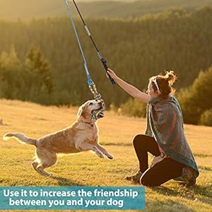 Flirt pole for dogs pet teaser wand outdoor interactive pet dog flirt pole training exercise rope toy for small medium large dogs cats   cucciolini doodles