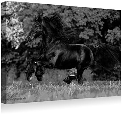friesian horse running- Canvas Prints Wall Art - Wood Board Background Stretched Canvas Wrap Ready to Hang for Home and Office Decoration - 20"x 14" Black and white