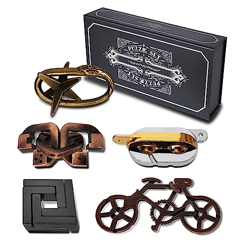 5 Pcs Metal Puzzles 3D Brain Teaser Puzzles for Adults Teens
