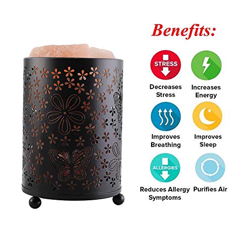 V.C.Formark USB Himalayan Salt Lamp, Release Negative Ion Purifying Air, Colors Changing+Warm Light, Metal Lampshade+Natural Salt Crystal, Used for Desk, Bedroom, Living Room and Gift
