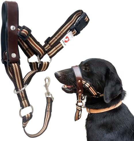 Dog Training HeadCollar – Comfortable and Gentle Dog Halter for All Breeds – Easy to Use Dog Head Halter – Genuine Leather Strap – One-Piece Dog Pulling Harness (XXL)