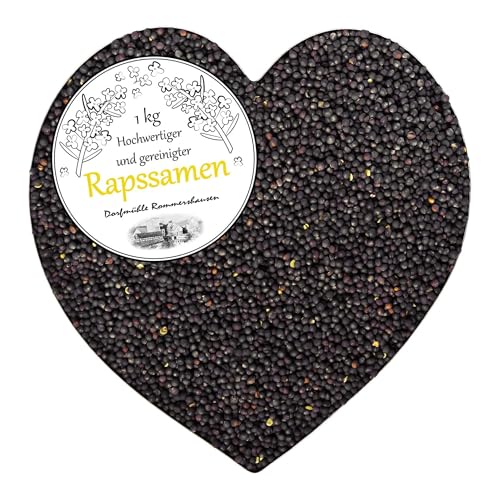 Petigi Rapssamen für Wärmekissen und Kältekissen Einzelfuttermittel hochwertig und gereinigt geeignet als Therapie Raps für Raps Bad bei Arthrose oder Rheuma Gewicht:1 kg