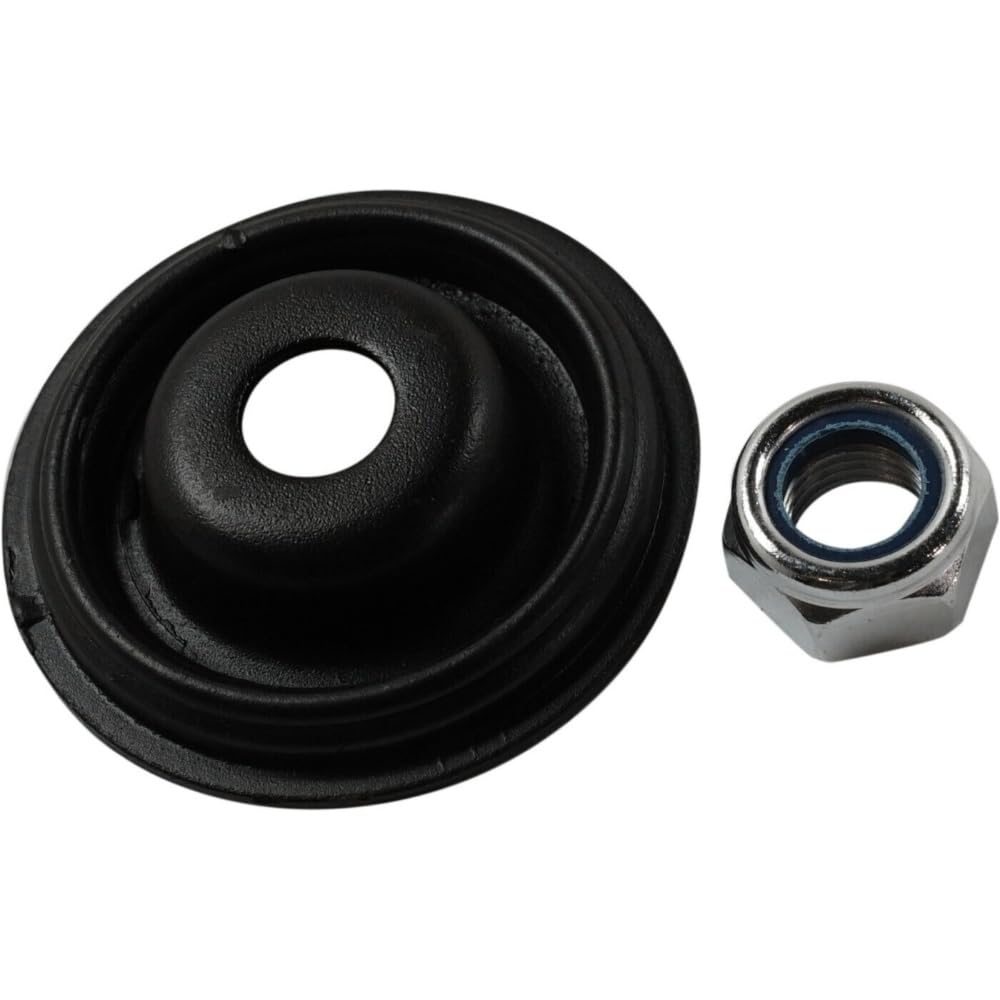 Amazon.com: Eclatify Twin-tube Loaded Strut Fits Front Right Gas 