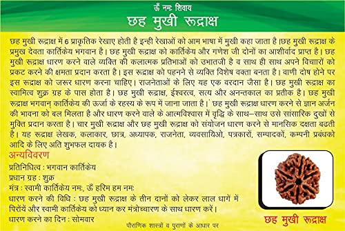 Image of Siddha 6 / Mukhi Pure Rudraksha, Laboratory Certified, Carefully Capped with Silver Between Nepalese Beads with Handmade Tassel, Size 16mm-22mm, Color-Brown (6 Mukhi Silver Rudraksha)