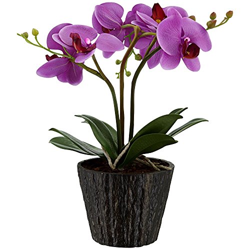 Preisvergleich Produktbild Globo 28003 Flower Power Light Armatur, Kunststoff, Violett