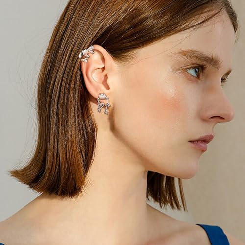 Coiris Fun Earrings for Women 3d Cool Cute Earrings Sliver Animal Post Studs Earrings Unique Cheap Funny Stuff Trendy Birthday Christmas Jewelry Gifts for Her2