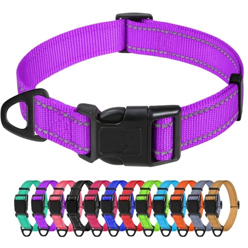 TagME Collare per Cani in Nylon Riflettente, Fibbia Staccabile Durevole, Collari Di Sicurezza Regolabili per Cani Di Taglia Media, Viola, Larghezza 2.5 cm