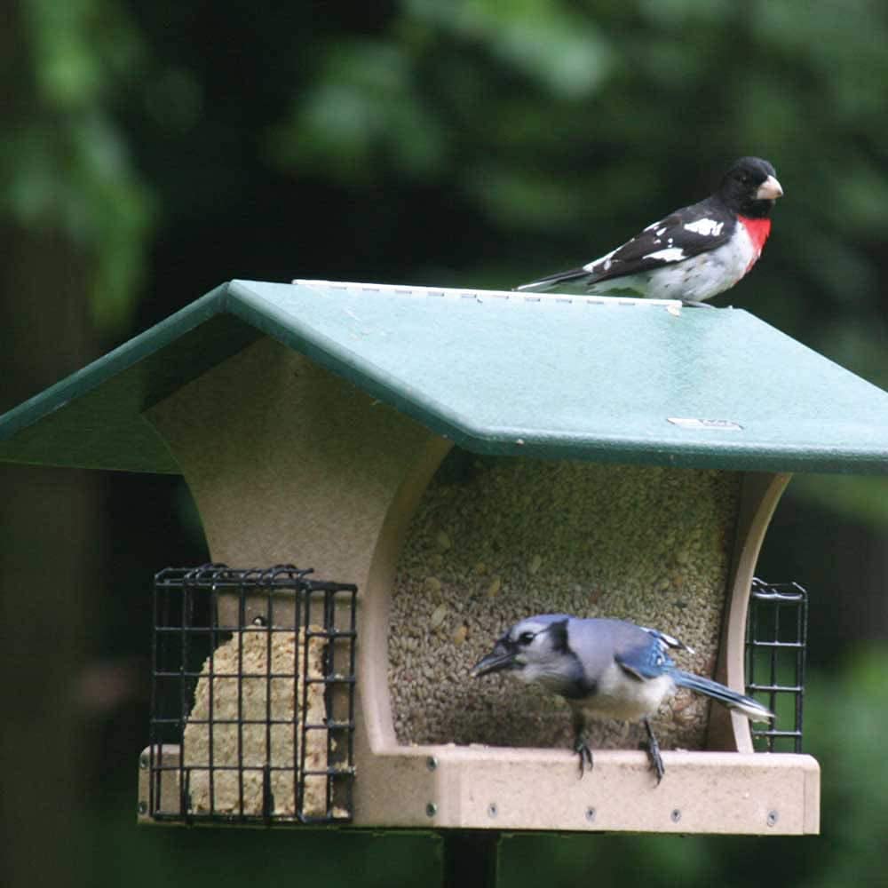 Birds Choice 4 Qt. beidseitigen Hopper mit Talg Körbe