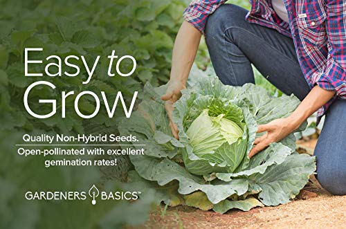 Cabbage Seeds For Planting - Golden Acre Green Heirloom, Non-Gmo Vegetable Variety- 1 Gram Approx 225 Seeds Great For Summer, Spring, Fall, And Winter Gardens By Gardeners Basics #TOP2
