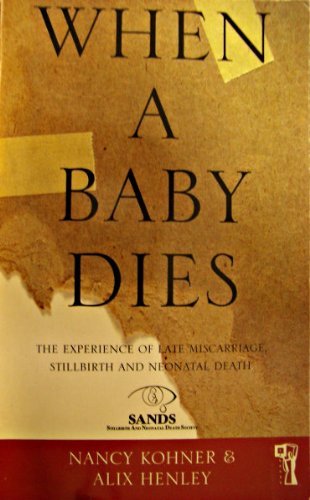 When a Baby Dies: The Experience of Late Miscarriage, Stillbirth and Neonatal Death (Pandora Health S.)