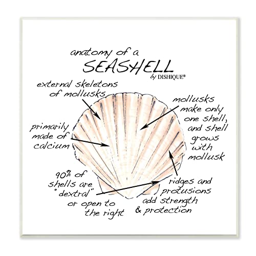 Image of 'Anatomy of Seashell Educational Marine Life'| Wall Plaque Art | Stupell Industries | 12 x 12 Inches, Easy to Hang and Sturdy, Made in USA, by Dishique