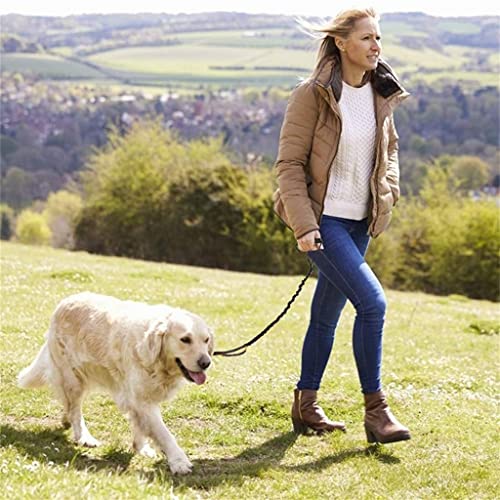 Dog Leash Metal Clip and Stitching
