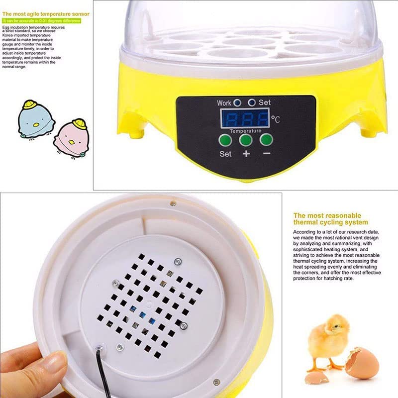 Amazon | 自動孵卵器 孵卵機 インキュベーター 恒温器本体 自動転卵式