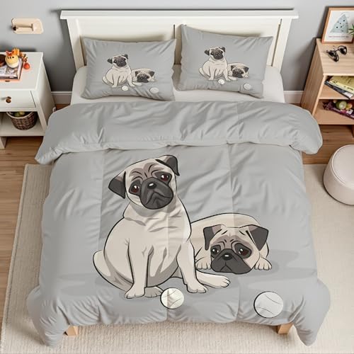 noNHѕzc 3DAj|zc h \tg ~ Lg I[V[Yq\tgӂӂ}CNt@Co[EHbu |zcg ӂӂ gHѕzcy ʋC Hzc170x210cm + 2Jo[E43X63cmTI3837