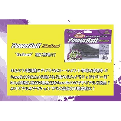 Berkley PowerBait MaxScent Fishing