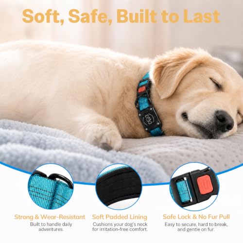 Image of Dog Collar with AirTag Holder Waterproof QR Code Reflective Collar(Blue,S)