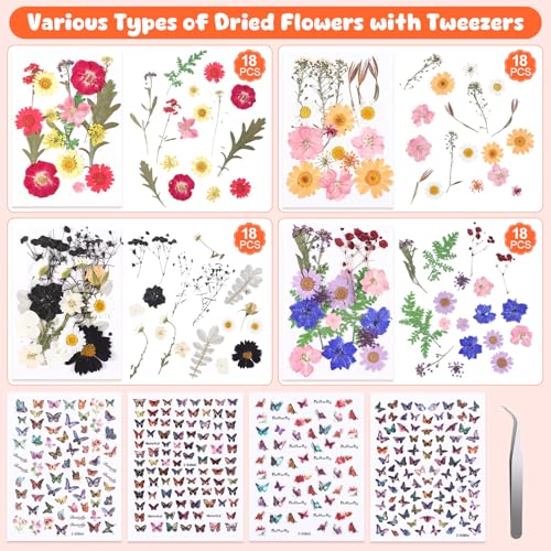 Flores Secas Presionadas AmazingSpark 650 piezas para manualidades miniatura 3