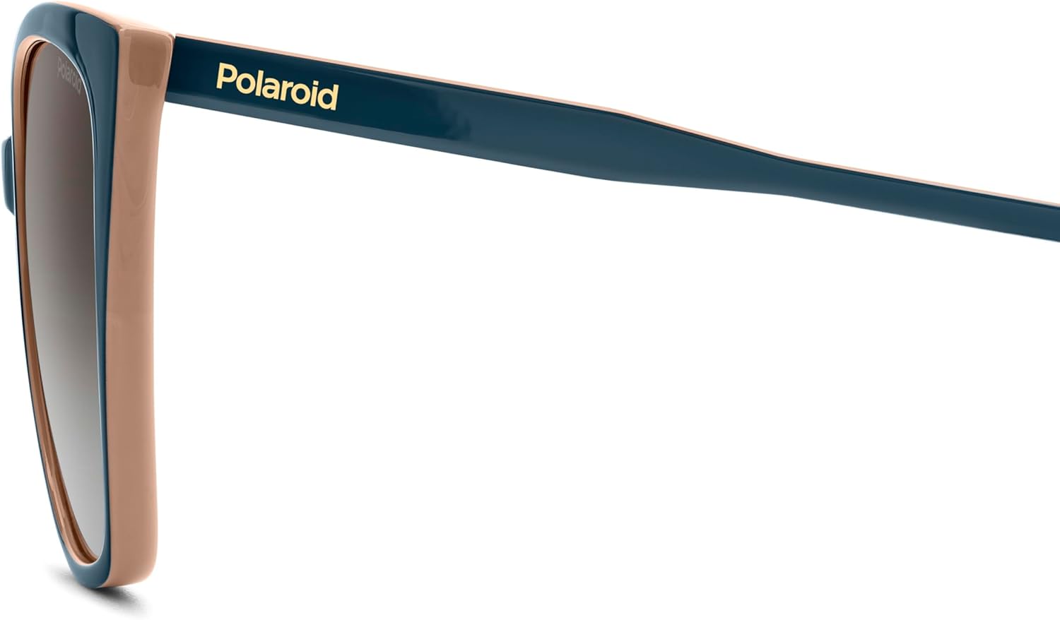 Polaroid women's sunglasses