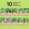 Organic Herb Seeds Variety Pack - 10 Individual Packs - 2026 Season - Basil, Cilantro, Dill, Thyme, Parsley and More! for Indoor & Outdoor Planting (Non-GMO, Certified Organic) #1