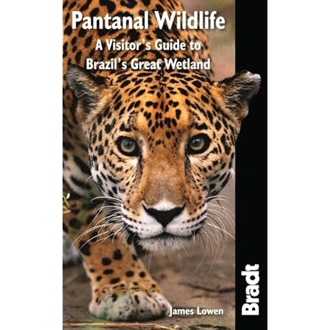Pantanal Wildlife: A Visitor's Guide To Brazil's Great Wetland (Bradt Wildlife Explorer) Cover