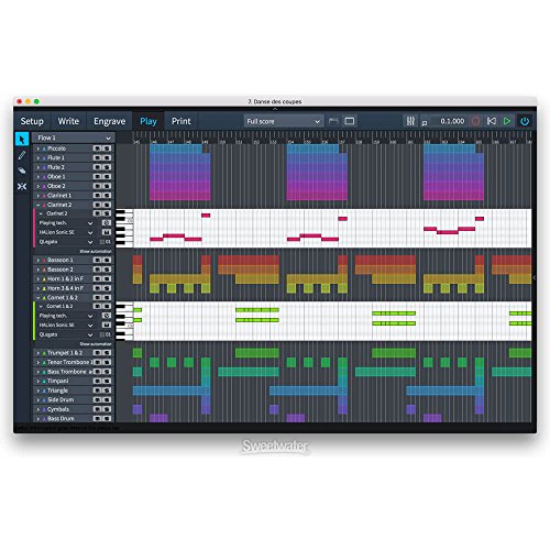 Steinberg Dorico Notation Software (Educational Version)