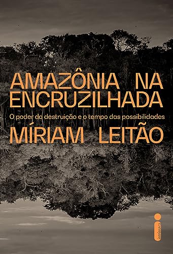 Amazônia na encruzilhada: O poder da destruição e o tempo das possibilidades