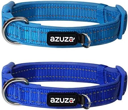 azuza 2 Pack Durable Padded Dog Collars with Reflective Strip Extra Safe and Comfy Pet Collars for Large Dogs, Royal Blue/Blue,L