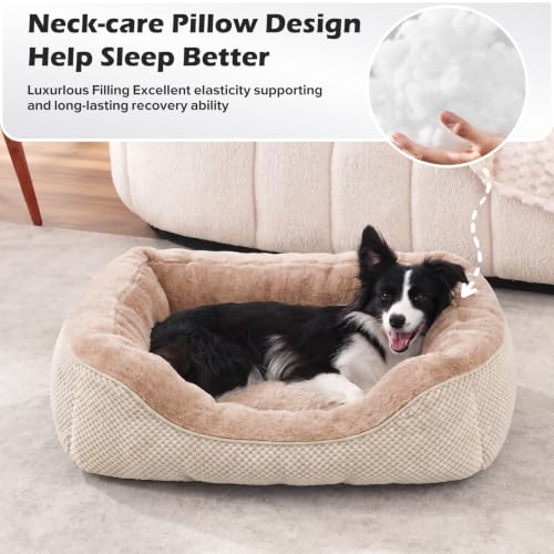 Image of Dog Bed Medium Size, Orthopedic Warming Soft Calming Sleeping Durable with Anti-Slip Bottom