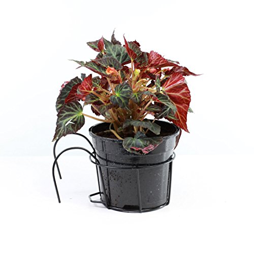 Macetas para balcón de hierro forjado negro pack de 3 maceteros 24cm 3