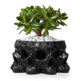 GUTE Skull Black Multifaced Planter Pot 4" Skulls Skeleton Head Pot for Succulents, Flowers, or Sweets β Creepy Gothic DΓ©cor for Garden, Home, Parties, Haunted House - or Spooky Display
