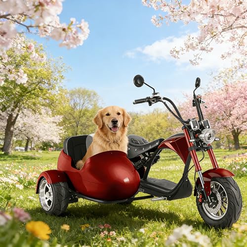 eAhora M1P Electric Sidecar Motorcycle