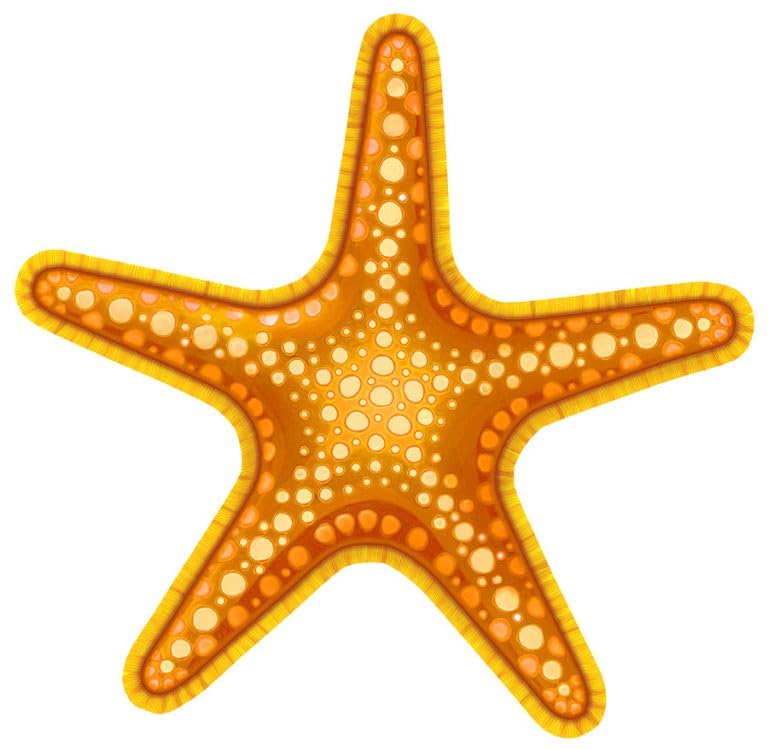 Starfish Porcelain Swimming Pool Mosaic (7