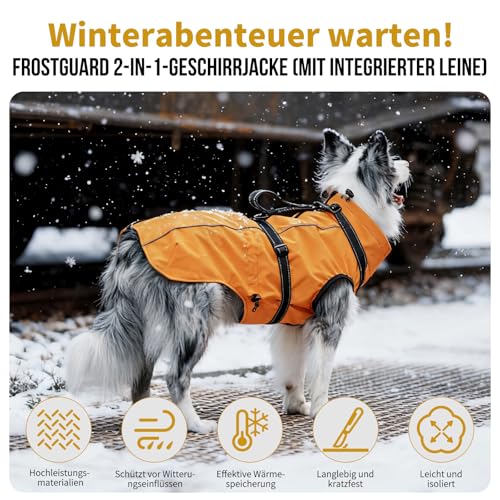 OneTigris Hundejacke, Wasserdichter Winterweste Jacken Hundemantel Mit Bediengriff, Bequeme Ausscheidung, Reißverschluss und Elastisches Design, Einfaches An-und Ausziehen, Reflektierend,M,Orange