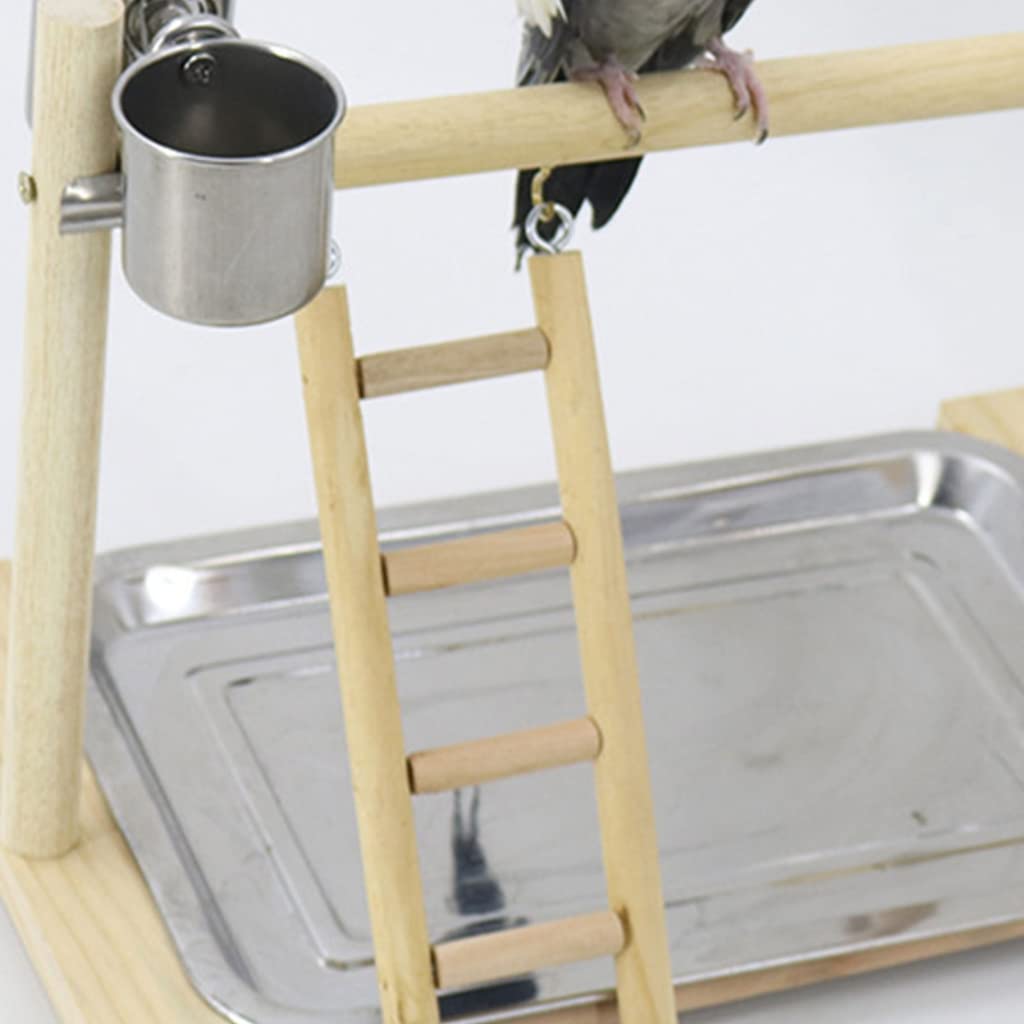 Perchoir à oiseaux avec plateau en acier inoxydable pour petits oiseaux