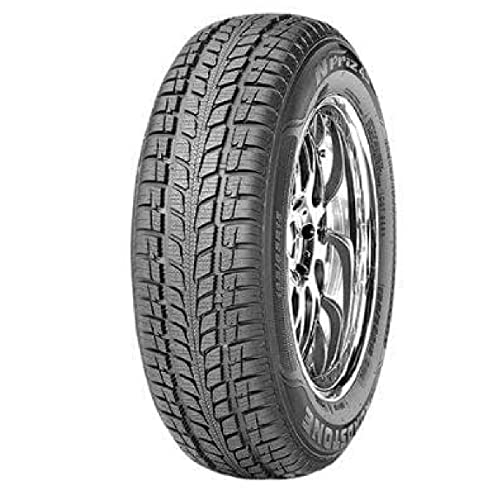 DStone NP 4S 195/65 R15 Neumático