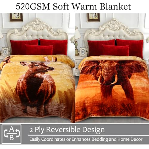Image of JYK Queen Size Korean Mink Blanket, 5 LB Fleece Bed Blanket - 2 Ply Reversible 520GSM Silky Soft Plush Warm Blanket for Autumn Winter, A&B Pattern Printed, (Queen 75 inchx87 inch, Deer /Elephant)