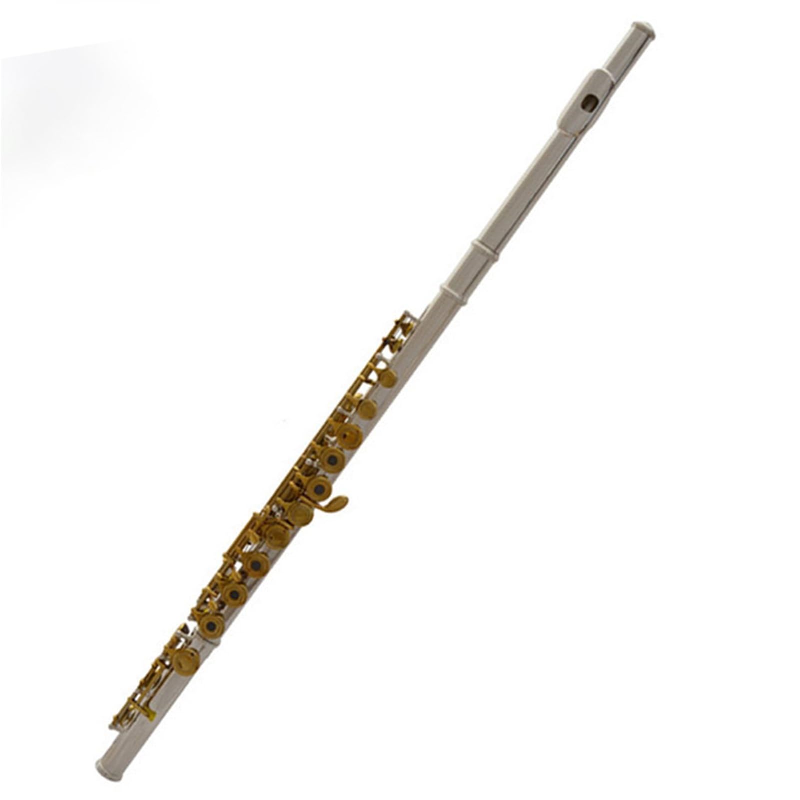Flauto Flauto traverso professionale placcato argento in Do