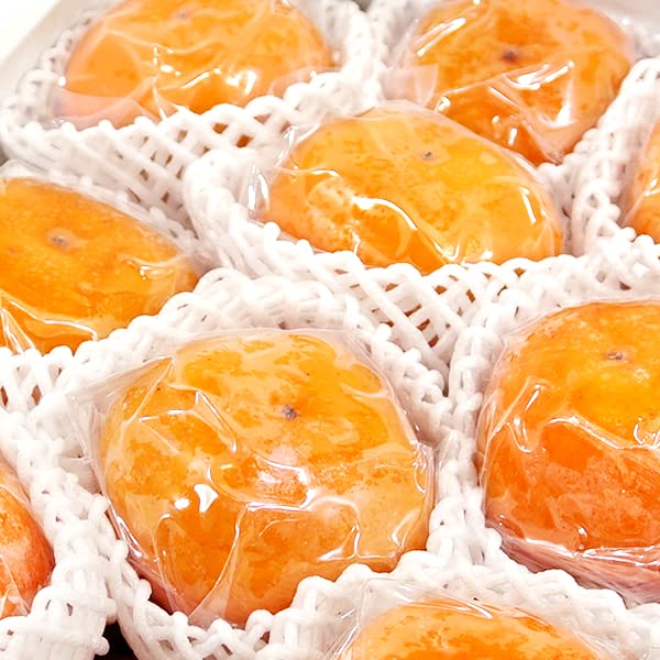 北のデリシャス 山形県産 庄内柿 (秀品/真空パック/常温品) かき お歳暮 ギフト 贈り物 贈答 お祝い 内祝い ご家庭用 果物 フルーツ お取り寄せ