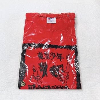 Amazon.co.jp: GOING STEADY 東京少年 Tシャツ 銀杏BOYZ : おもちゃ