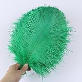 Plumas de avestruz naturales para manualidades y decoración del hogar, perfectas para bodas y centros de mesa de fiesta