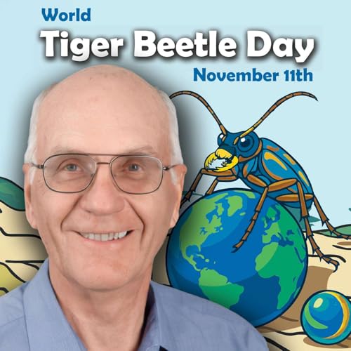 Fast Insects, Smart Science: Tiger Beetles Rule