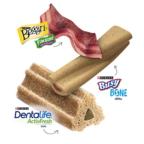 Purina Beggin' Fun Size Bacon Flavor Adult Dog Treats #TOP1