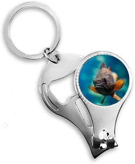Pequeno peixe tropical marinho organismo alicate de unha chaveiro abridor de garrafa cortador