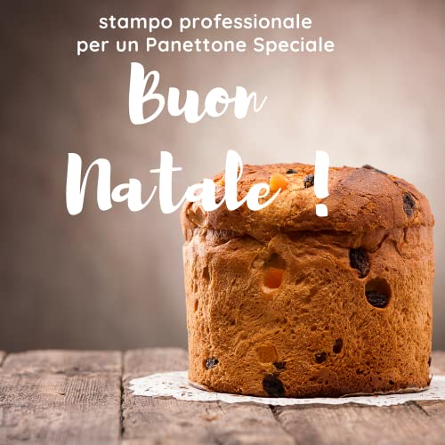 Stampo per Panettone Alto Qualità Premium 750 gr